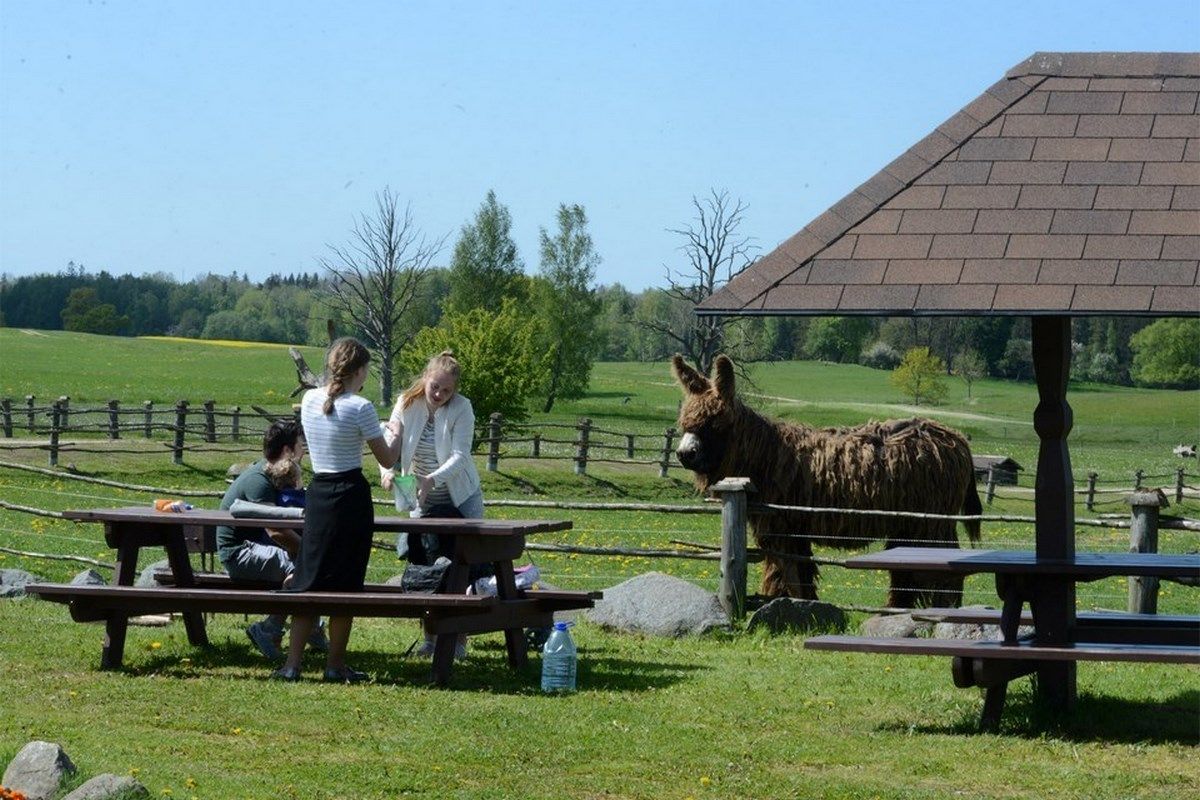Rīgas Zoodārza filiāle „Cīruļi" / Rīga ZOO