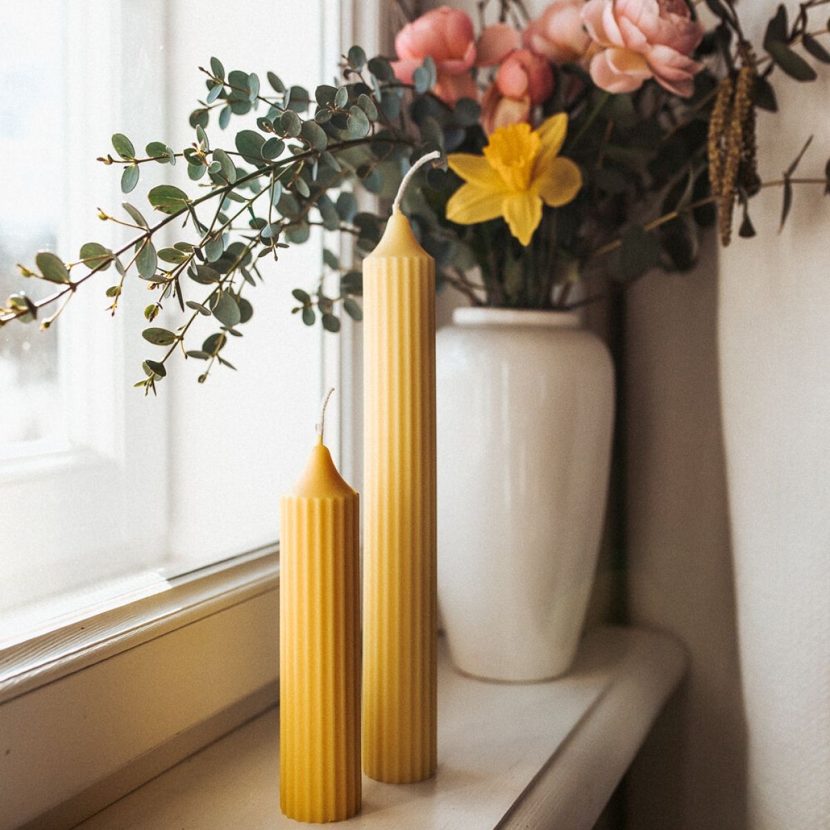 Augstā rievainā stāvsvece | GARDENIA ECO