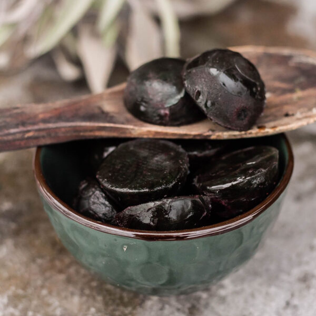 Svaiga saldēta spirulīna - 90 porcijas | SpirulinaNord