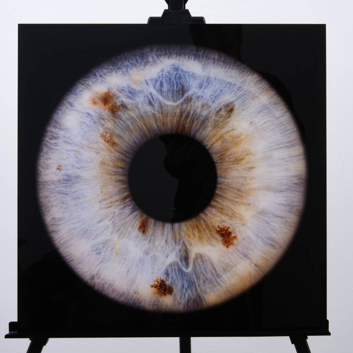 Akrila Glezna | ViiEye
