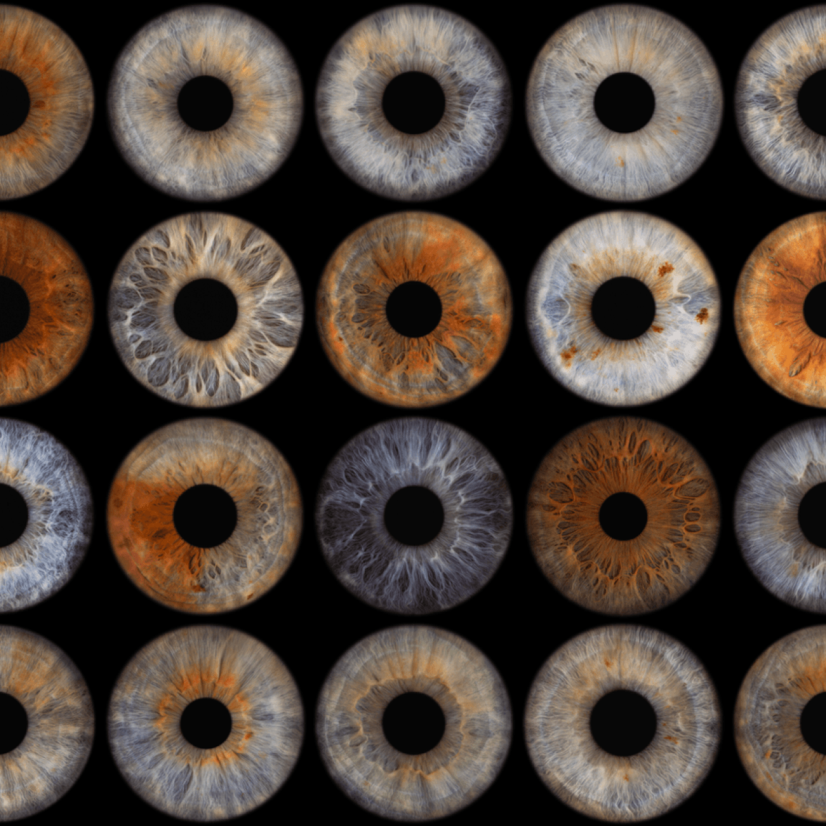 Digitāls Fotoattēls | ViiEye