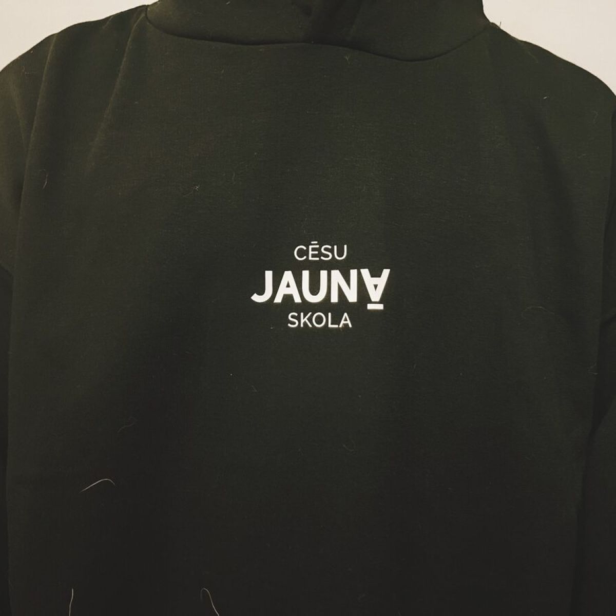 Hūdijs | Cēsu Jaunā skola