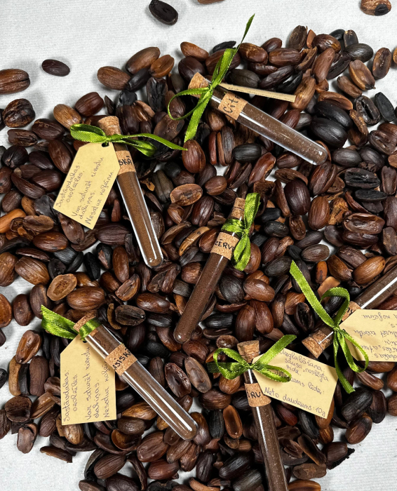 Ozolzīļu kafija 1 porcija | Narffee Coffee