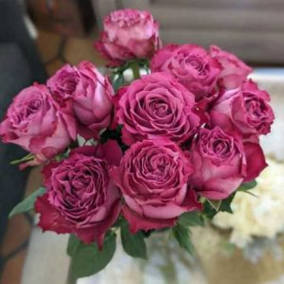 Jaunākās rožu šķirnes | Natālijas rozes