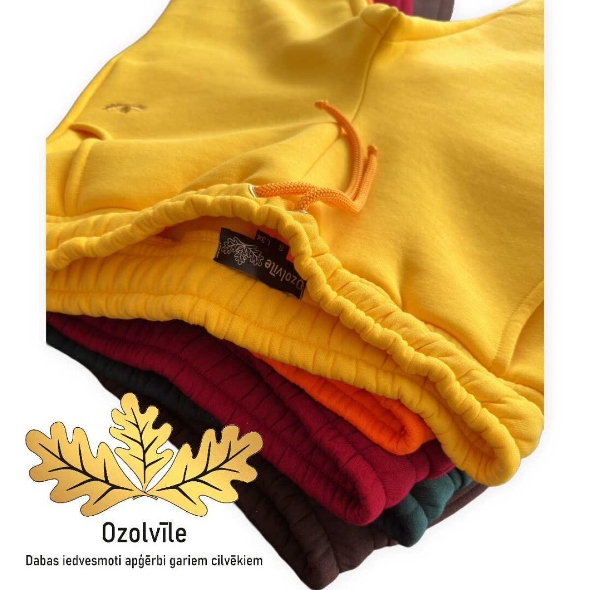 Par "Ozolvīli" | Ozolvīle