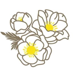 Baltās anemones - viesu nams\Farm logotips