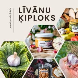 LĪVĀNU ĶIPLOKS - Revima SIA logotips