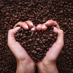 Professional Coffee - kafijas aparātu apkope logotips