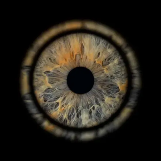 ViiEye - augstākās kvalitātes acu fotostudija — Instagram