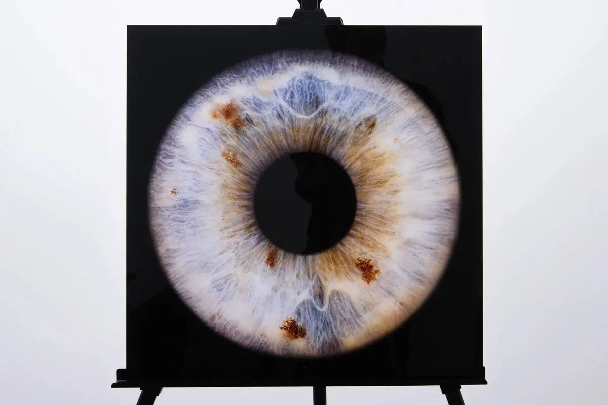 Akrila Glezna | ViiEye
