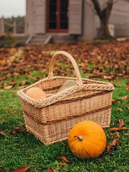 Viesu nams " Kalndaķi" | Pinumu Pasaule SIA — Instagram