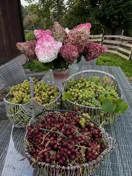 Iģenes muižas atjaunošanas fonds — Instagram