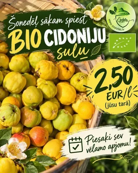 Ozolzīles -Bioloģiskā saimniecība  — Instagram