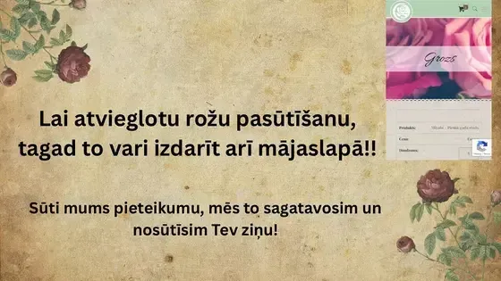 Natālijas rozes — Instagram
