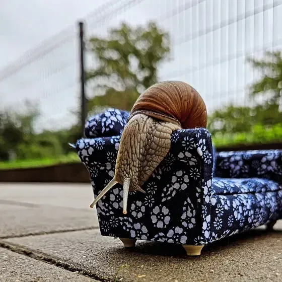 Small Stuff Miniatūru māja | mākslas izziņas centru — Instagram