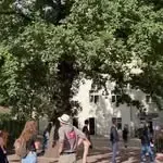 Skola Domdaris — Instagram