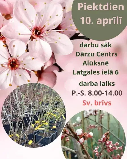 Dārzkopības uzņēmums  "SPROGAS" — Instagram