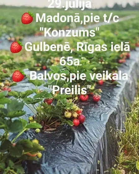 Dārzkopības uzņēmums  "SPROGAS" — Instagram