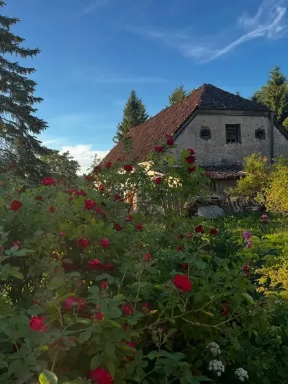 Iģenes muižas atjaunošanas fonds — Instagram