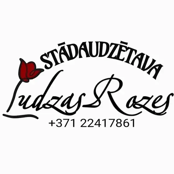 Ludzas Rozes — Instagram