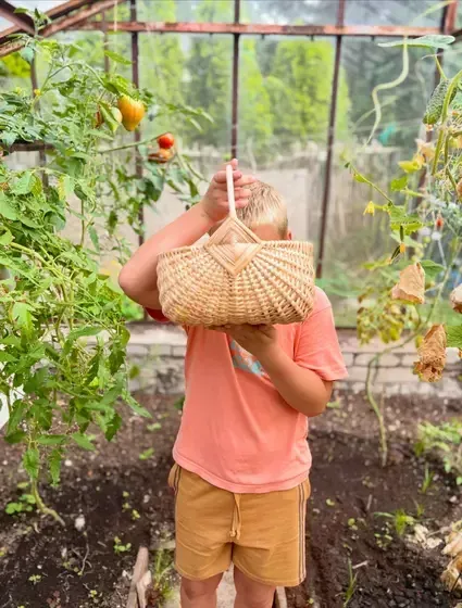 Pinumu Pasaule SIA - Rokām darināti pinumi no kārklu klūgām — Instagram