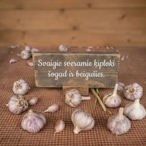 LĪVĀNU ĶIPLOKS - Revima SIA — Instagram