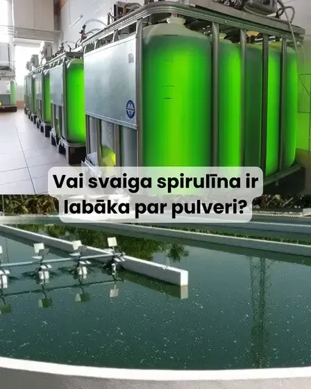 SpirulinaNord, Latvijā audzēta spirulīna tavai labsajūtai — Instagram