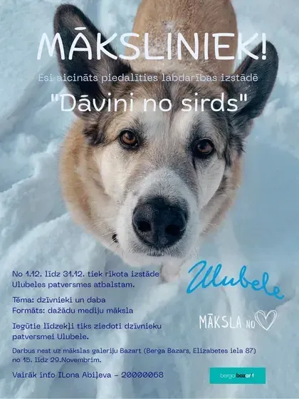 ULUBELE - Dzīvnieku pansija — Instagram
