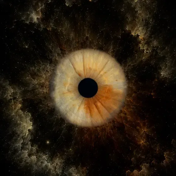 ViiEye - augstākās kvalitātes acu fotostudija — Instagram