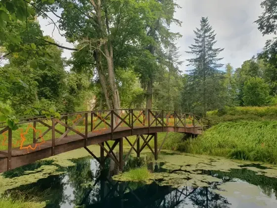 "UZKURI"" SIA - galdniecība — Instagram