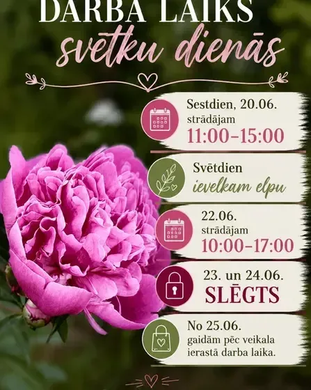Rakstā viss dejai — Instagram