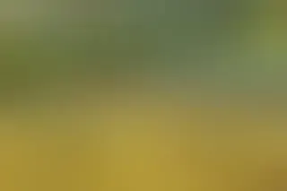 Kokaudzētava Robežnieki — Facebook