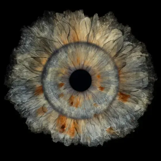 ViiEye - augstākās kvalitātes acu fotostudija — Instagram