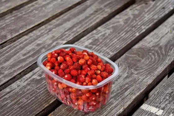Cietais Rieksts, SIA - ogu audzēšana, iepirkšana, pārstrāde — Instagram