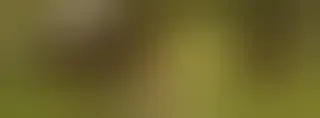 Dabas zirgi - Dzīvnieku aizsardzību — Facebook