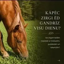 Dabas zirgi - Dzīvnieku aizsardzību — Facebook