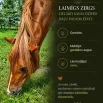 Dabas zirgi - Dzīvnieku aizsardzību — Facebook