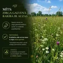 Dabas zirgi - Dzīvnieku aizsardzību — Facebook