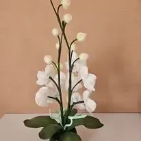 Paradise Flowers - ar rokām veidotas ziedu lampas — Facebook