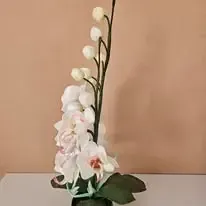 Paradise Flowers - ar rokām veidotas ziedu lampas — Facebook