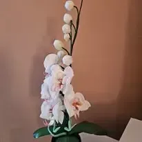 Paradise Flowers - ar rokām veidotas ziedu lampas — Facebook