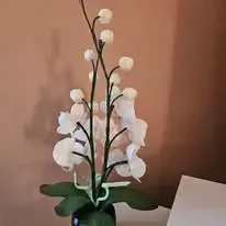 Paradise Flowers - ar rokām veidotas ziedu lampas — Facebook