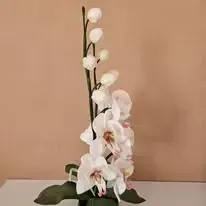 Paradise Flowers - ar rokām veidotas ziedu lampas — Facebook