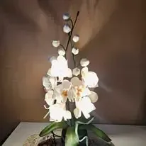 Paradise Flowers - ar rokām veidotas ziedu lampas — Facebook