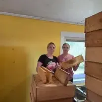 Šteinu bites — Facebook