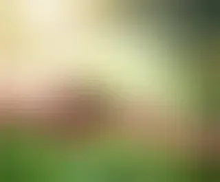 IESPĒJA IZAUGSMEI | alternatīvā izglītība — Facebook