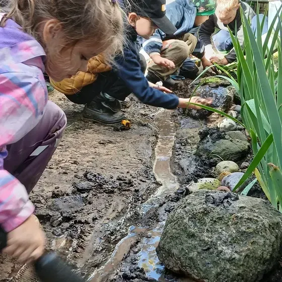 Pietura ģimenei - Ogres Baltā Valdorfskola — Instagram