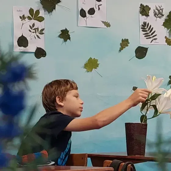 Pietura ģimenei - Ogres Baltā Valdorfskola — Instagram