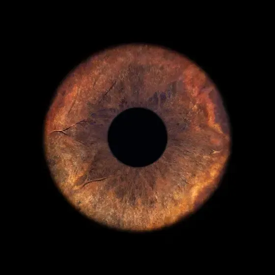 ViiEye - augstākās kvalitātes acu fotostudija — Instagram
