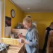 Šteinu bites — Facebook